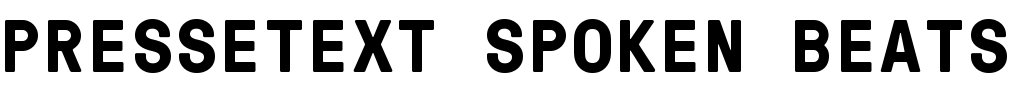 Pressetext Spoken Beats