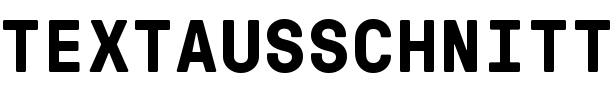 Textausschnitt