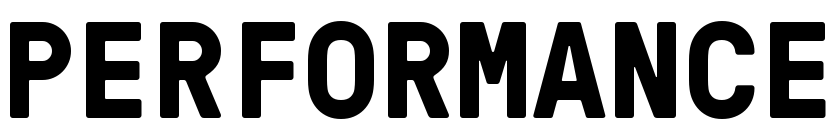 PERFORMANCE